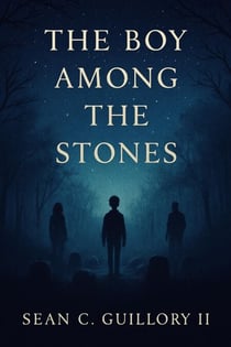 The Boy Among the Stones