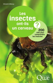 Les insectes ont-ils un cerveau ? - 200 clés pour comprendre les insectes