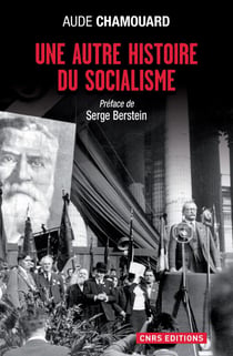 Le Socialisme en action - Les politiques à l'épreuve du terrain (1919-1920)