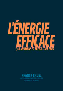 L'Energie efficace - Quand moins et mieux font plus