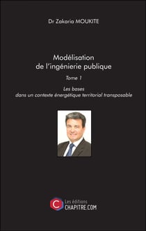 Modélisation de l'ingénierie publique - Tome 1