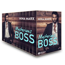 Mysterious Boss – L’intégrale