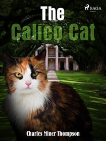 The Calico Cat