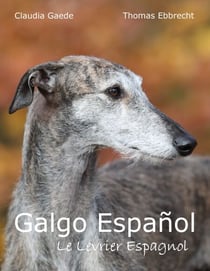 Galgo Español - Le Lévrier Espagnol