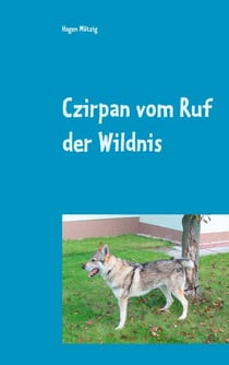 Czirpan vom Ruf der Wildnis - und doch ein Hund