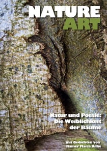 Nature Art: Natur und Poesie - Die Weiblichkeit der Bäume