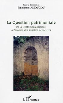 La Question patrimoniale - De la "patrimonialisation" à l'examen des situations concrètes