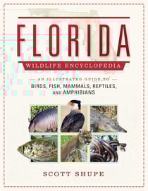 The Florida Wildlife Encyclopedia - An Illustrated Guide to Birds, Fish, Mammals, Reptiles, and Amphibians