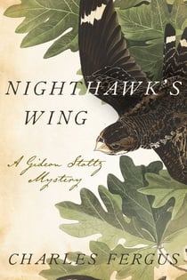 Nighthawk's Wing - A Gideon Stoltz Mystery