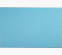 Exacompta Aquarel - Sous-main en carton - disponible dans différentes  couleurs pastels Pas Cher
