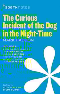 THE CURIOUS INCIDENT OF THE DOG IN THE NIGHT-TIME