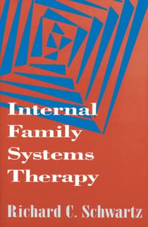 Internal family systems therapy