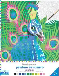 Peinture au numéro Les ateliers du calme - oiseaux