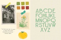 Stickers de Zoé - Le bazar