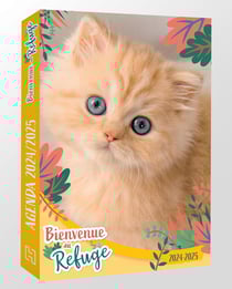 Agenda scolaire 2024/2025 - 12 x 17,7 cm - Bienvenue au refuge