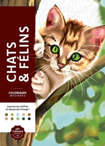 Coloriages mystères - Chats et félins NED - Hachette Heroes