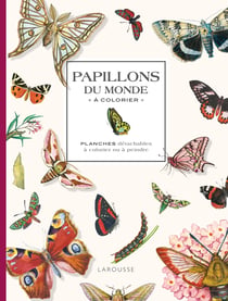 Papillons du monde a colorier