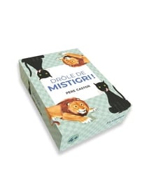 Les Jeux du Père Castor - Drôle de Mistigri !