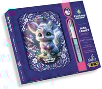 Coffret carnet secret avec Bic - Fantasy Dreams