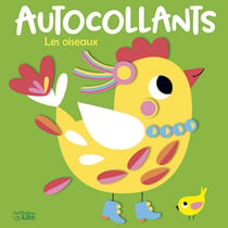 ANIMAUX EN AUTOC LES OISEAUX