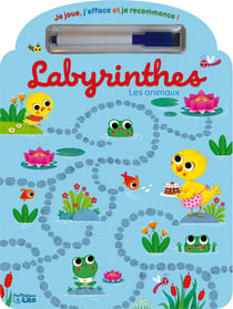 JE JOUE J'EFFACE LABYRINTHES