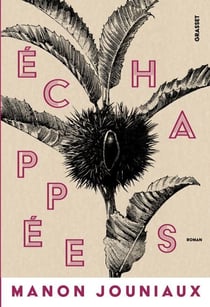 Echappées - premier roman
