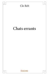 Chats errants