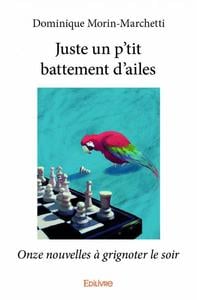 Juste un p'tit battement d'ailes : Onze nouvelles à grignoter le soir