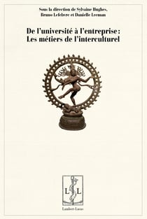 De l'universite a l'entreprise - les metiers de l'interculturel