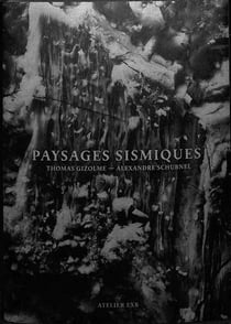 Paysages sismiques