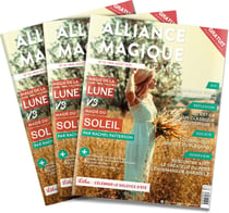 Magazine n13