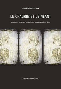 Le chagrin et le neant : la puissance du negatif dans l'oeuvre de juan benet