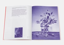 Damien Cadio, peintures + écrits