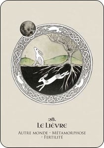 L'oracle des esprits celtes