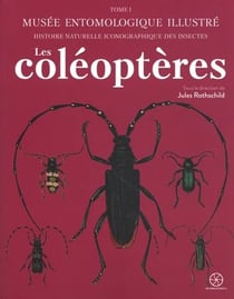 Musée entomologique illustré Tome 1 : Les coléoptères