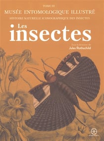 Musée entomologique illustré Tome 3 : Les insectes