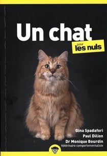 Un chat pour les nuls