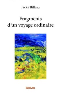 Fragments d'un voyage ordinaire