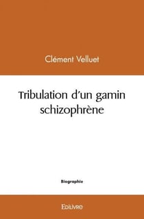 Tribulation d'un gamin schizophrene