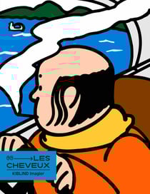 Les cheveux - imagier - les cheveux