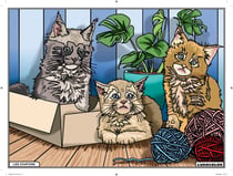 Tableau Velours à colorier - Les Chatons
