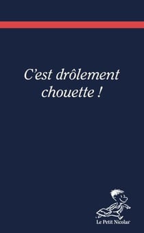 Carnet Le Petit Nicolas - c'est drôlement chouette