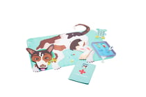 Deviens vétérinaire - kit Pandacraft 3-7 ans
