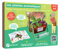 Les plantes aromatiques : Plante, fais pousser et déguste du basilic vert et pourpre !