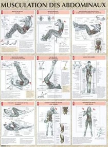 Musculation des abdominaux - Planche plastifiée