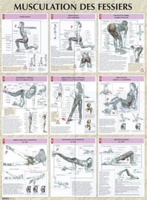 Musculation des fessiers - Planche plastifiée