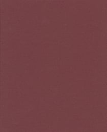 Dictionnaire sanskrit-francais