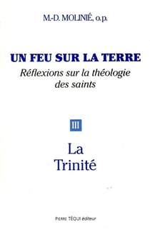 Un feu sur la terre - Tome 3 : La Trinité
