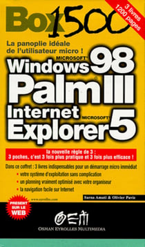 Box 1500/palmiii/w98/inte