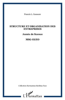Structure et organisation des entreprises - annee de licence - msg-egeo